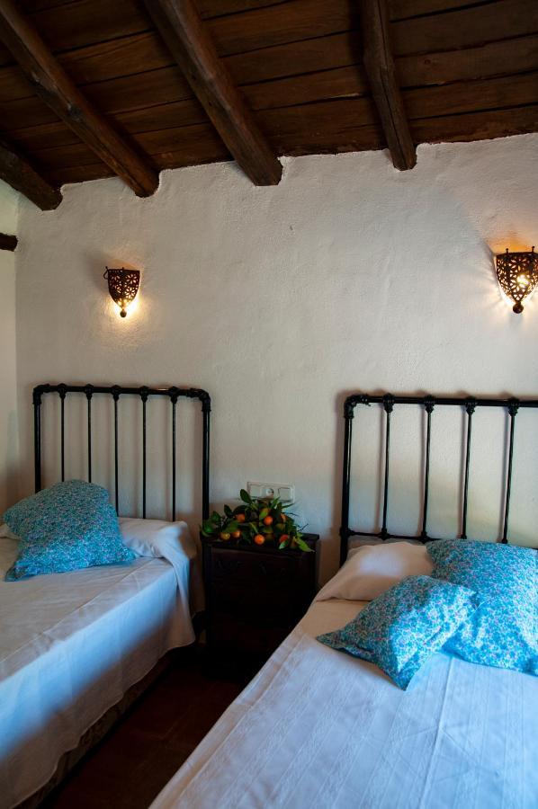 Casa Rural Molino De Bony Júzcar Dış mekan fotoğraf