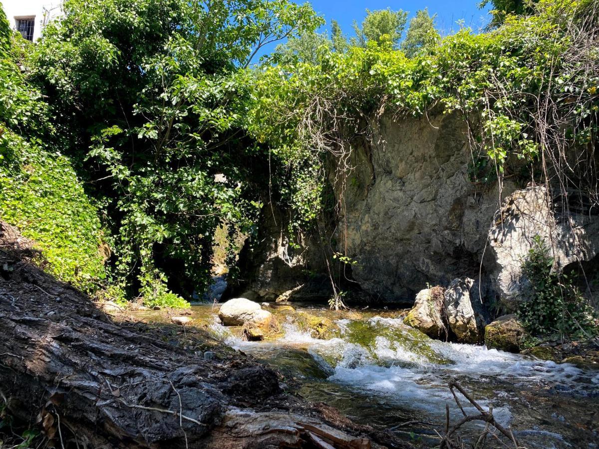 Casa Rural Molino De Bony Júzcar Dış mekan fotoğraf